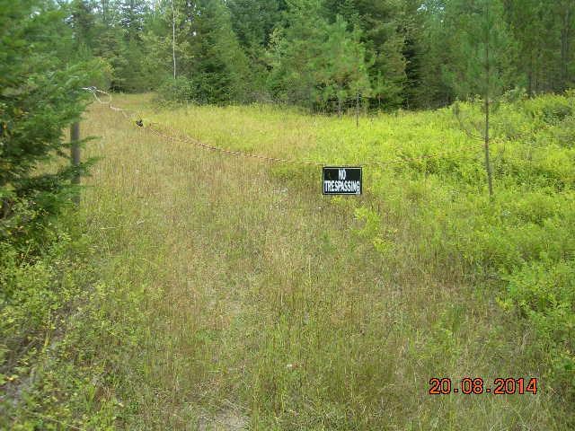 731 Levitch Road Newport, WA 99156 - Photo 11 of 15
