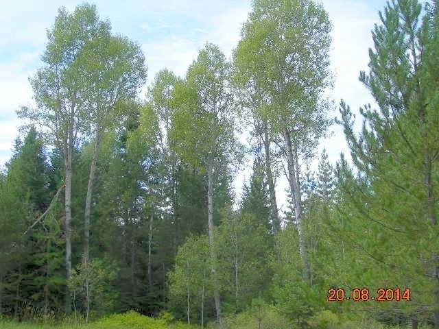 731 Levitch Road Newport, WA 99156 - Photo 12 of 15