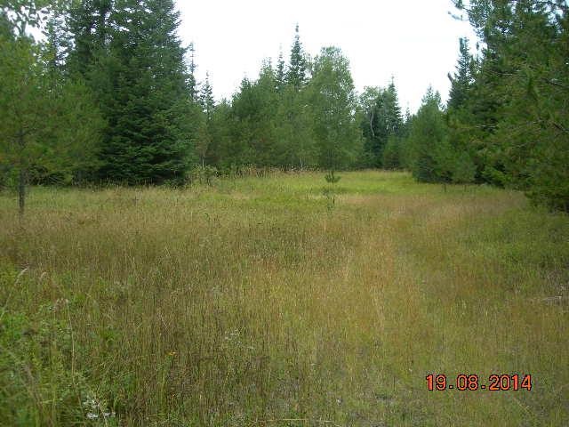 731 Levitch Road Newport, WA 99156 - Photo 3 of 15