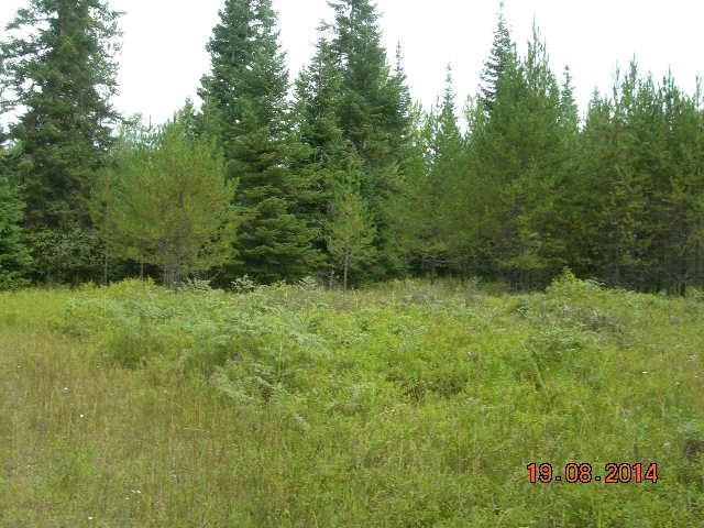 731 Levitch Road Newport, WA 99156 - Photo 7 of 15