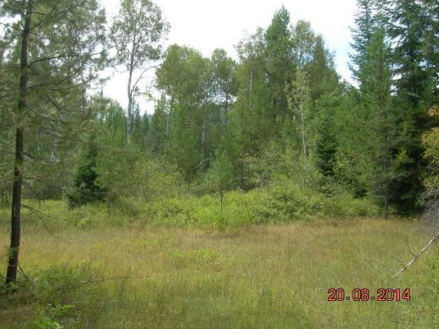 731 Levitch Road Newport, WA 99156 - Photo 9 of 15