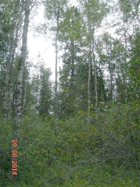 731 Levitch Road Newport, WA 99156 - Photo 10 of 15