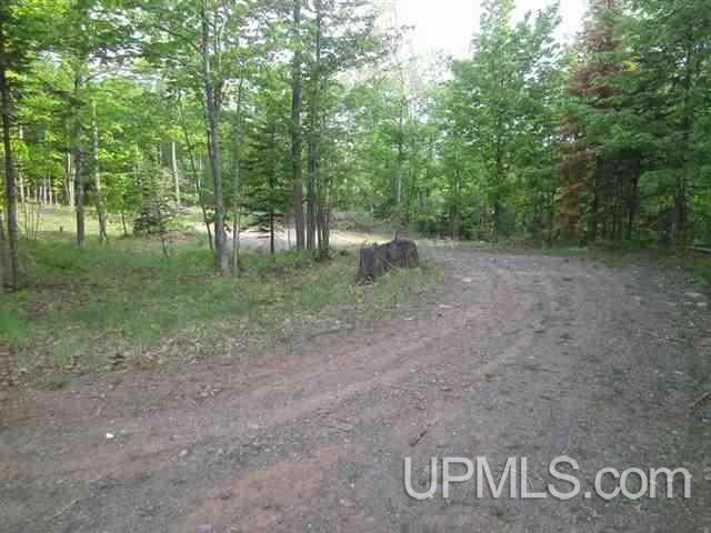 Tbd Krooks Road Negaunee, MI 49866 - Photo 1 of 6 Gallery Image 1