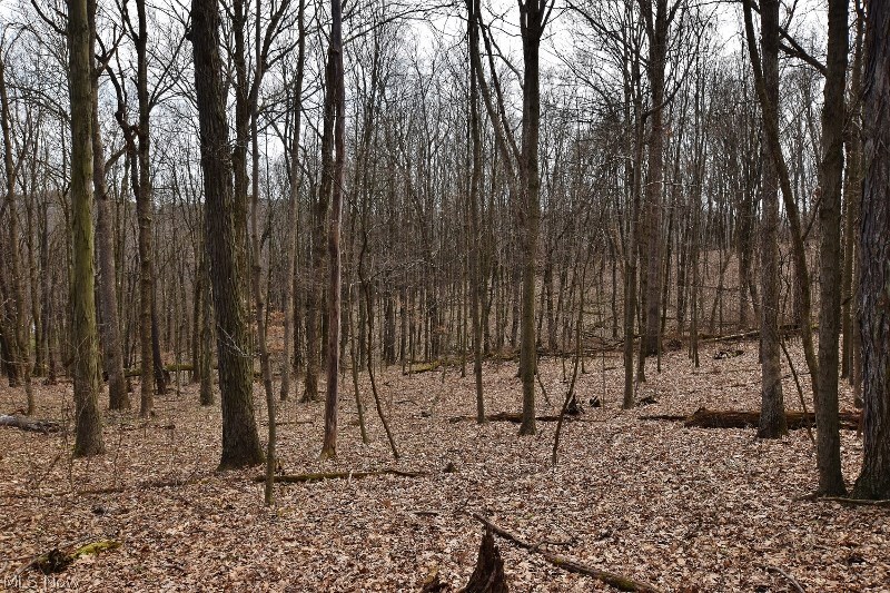 Roswell Road Southwest Sherrodsville, OH 44675 - Photo 7 of 9 Gallery Image 7