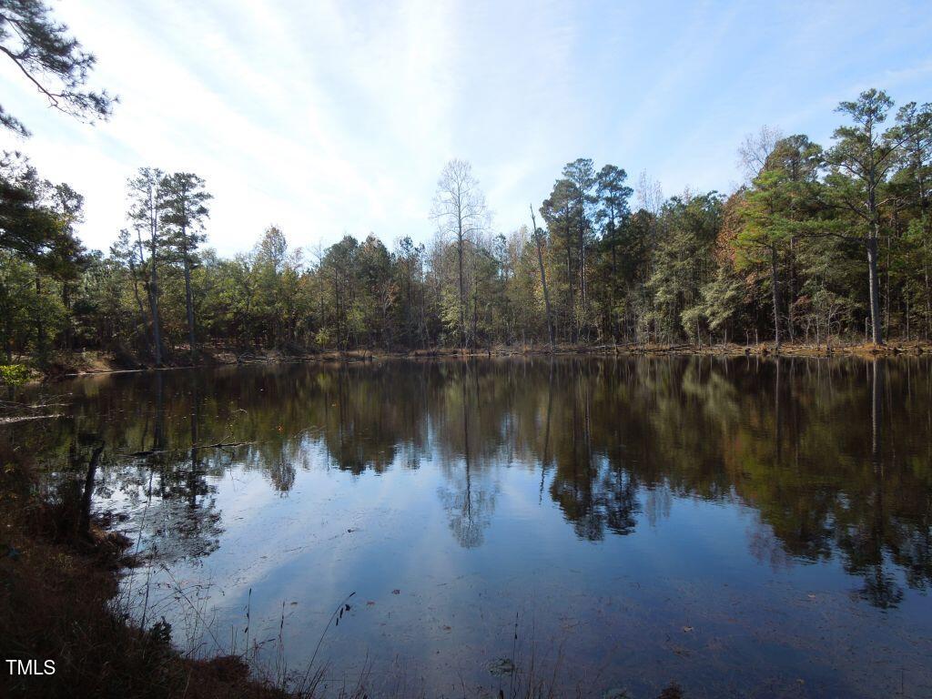 Tbd Cook Road Carthage, NC 28327 - Photo 26 of 40 DSCN0115