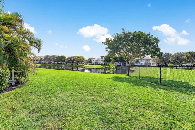 a view of a park with a large trees