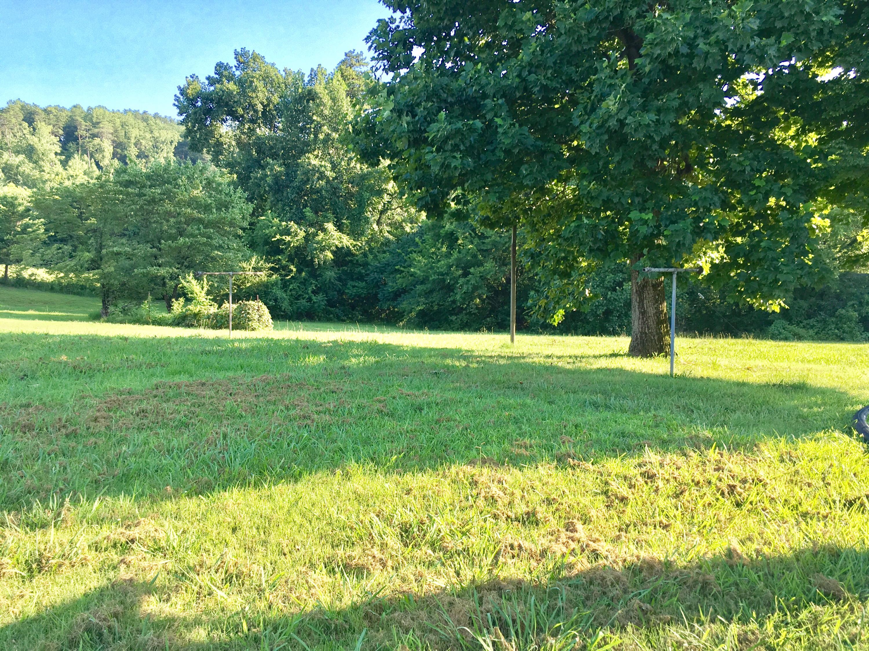 491 Stephens Road Greenback, TN 37742 - Photo 14 of 29 IMG_0438