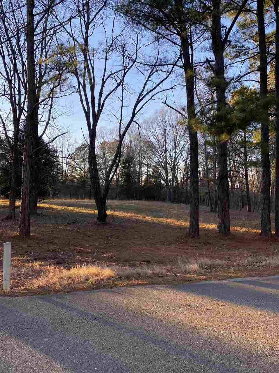 160 Grove Road Collierville, TN 38017 - Photo 11 of 12 Gallery Image 11