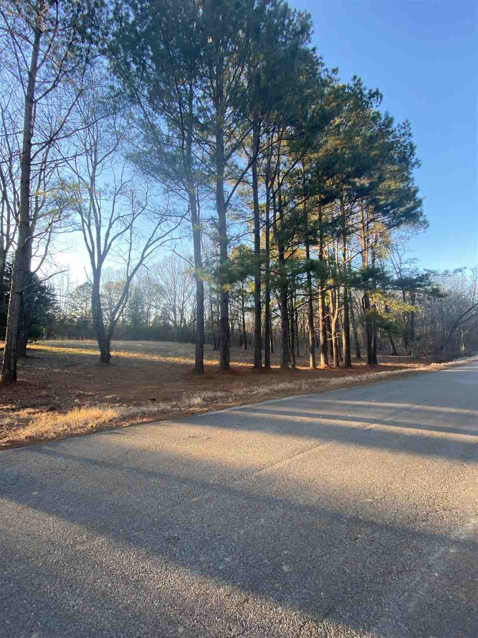 160 Grove Road Collierville, TN 38017 - Photo 12 of 12 Gallery Image 12