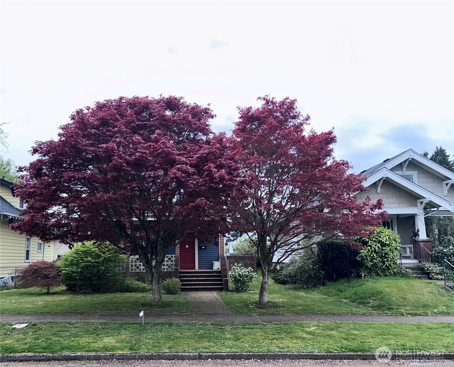 front view of a house with a tree