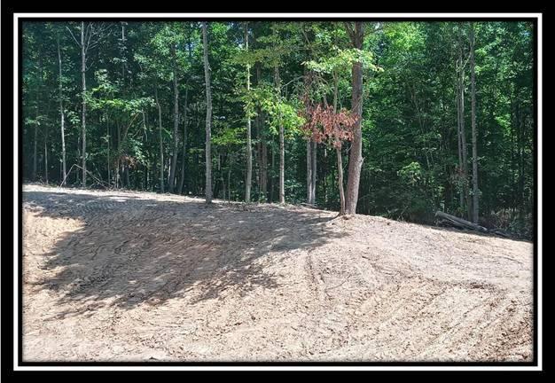 3186 Alice Road Vinton, OH 45686 - Photo 11 of 32