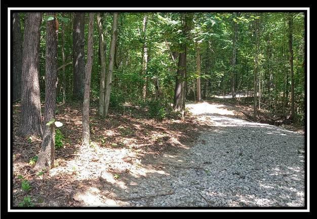 3186 Alice Road Vinton, OH 45686 - Photo 14 of 32