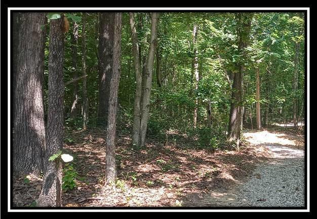3186 Alice Road Vinton, OH 45686 - Photo 15 of 32