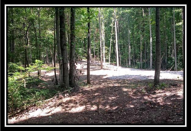 3186 Alice Road Vinton, OH 45686 - Photo 16 of 32
