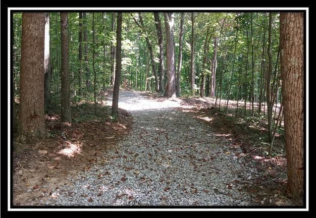 3186 Alice Road Vinton, OH 45686 - Photo 20 of 32