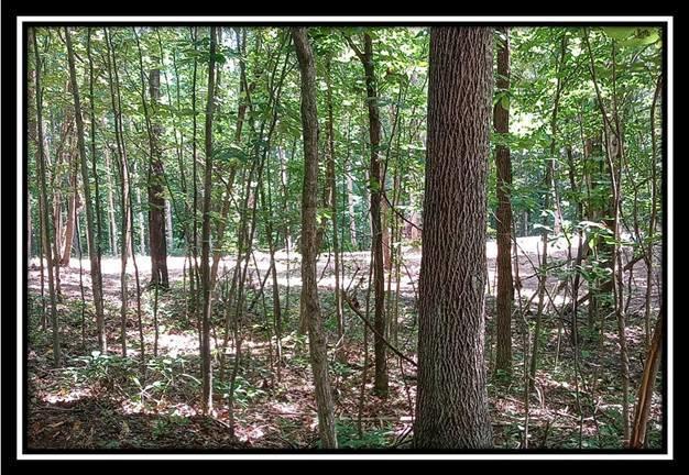 3186 Alice Road Vinton, OH 45686 - Photo 24 of 32