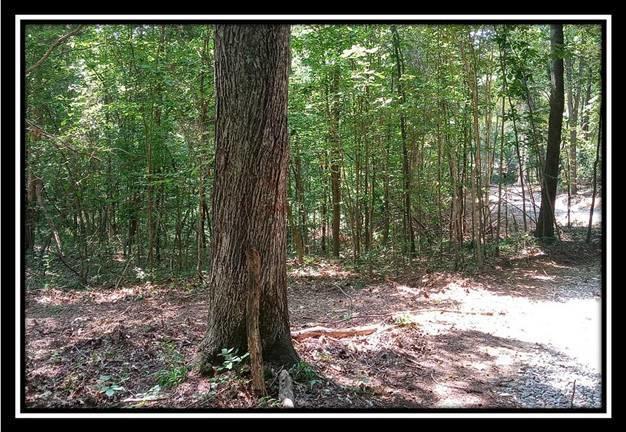 3186 Alice Road Vinton, OH 45686 - Photo 28 of 32