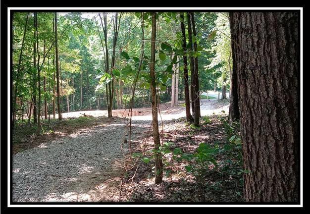3186 Alice Road Vinton, OH 45686 - Photo 8 of 32