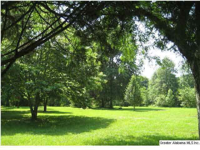 420 Happy Hollow Road Odenville, AL 35120 - Photo 23 of 23