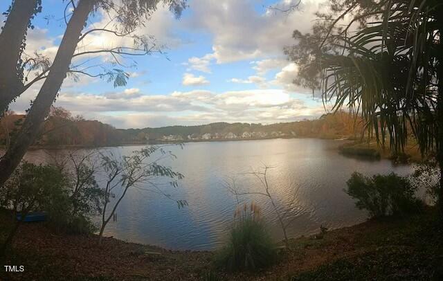 209 Kingsmill Road Cary, NC 27511 - Photo 53 of 54 Lake