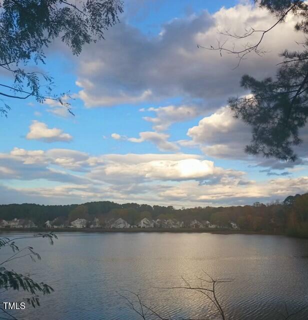 209 Kingsmill Road Cary, NC 27511 - Photo 54 of 54 Lake