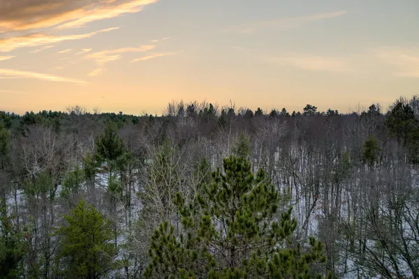 $36,900 | Lt26 Deep Wds Trail, Athelstane, WI 54104