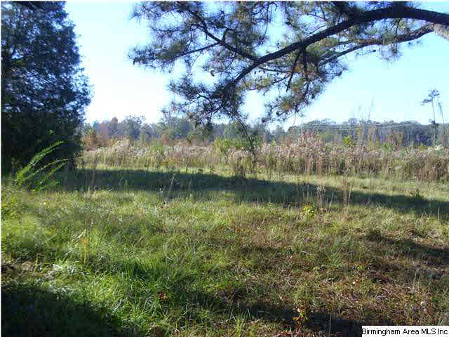 1148 County Road 418 Clanton, AL 35045 - Photo 8 of 10