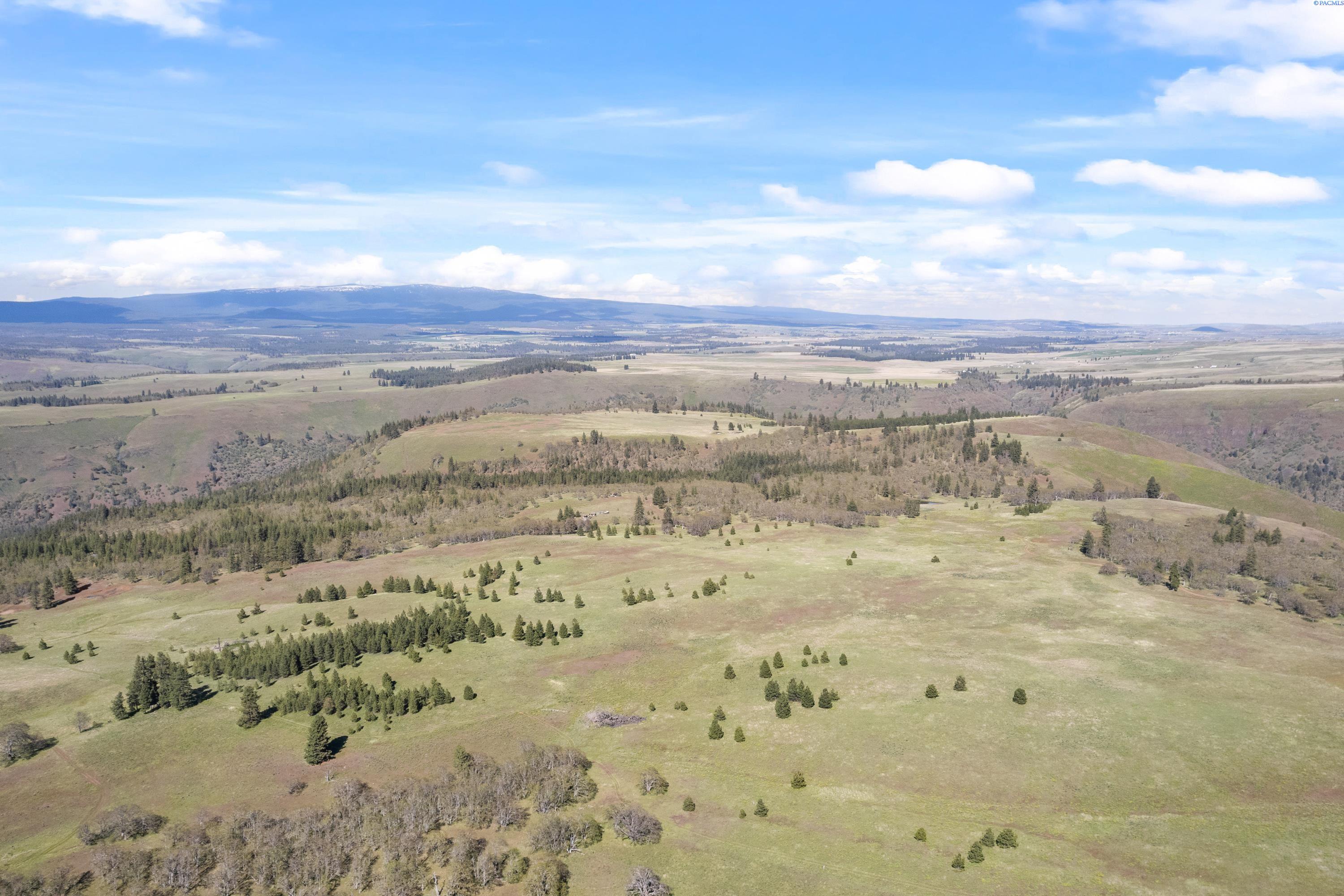 Lot 19 Schilling Road Lyle, WA 98635 - Photo 21 of 39 Gallery Image 21