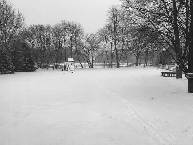 42W285 Foxfield Drive St. Charles, IL 60175 - Photo 32 of 32