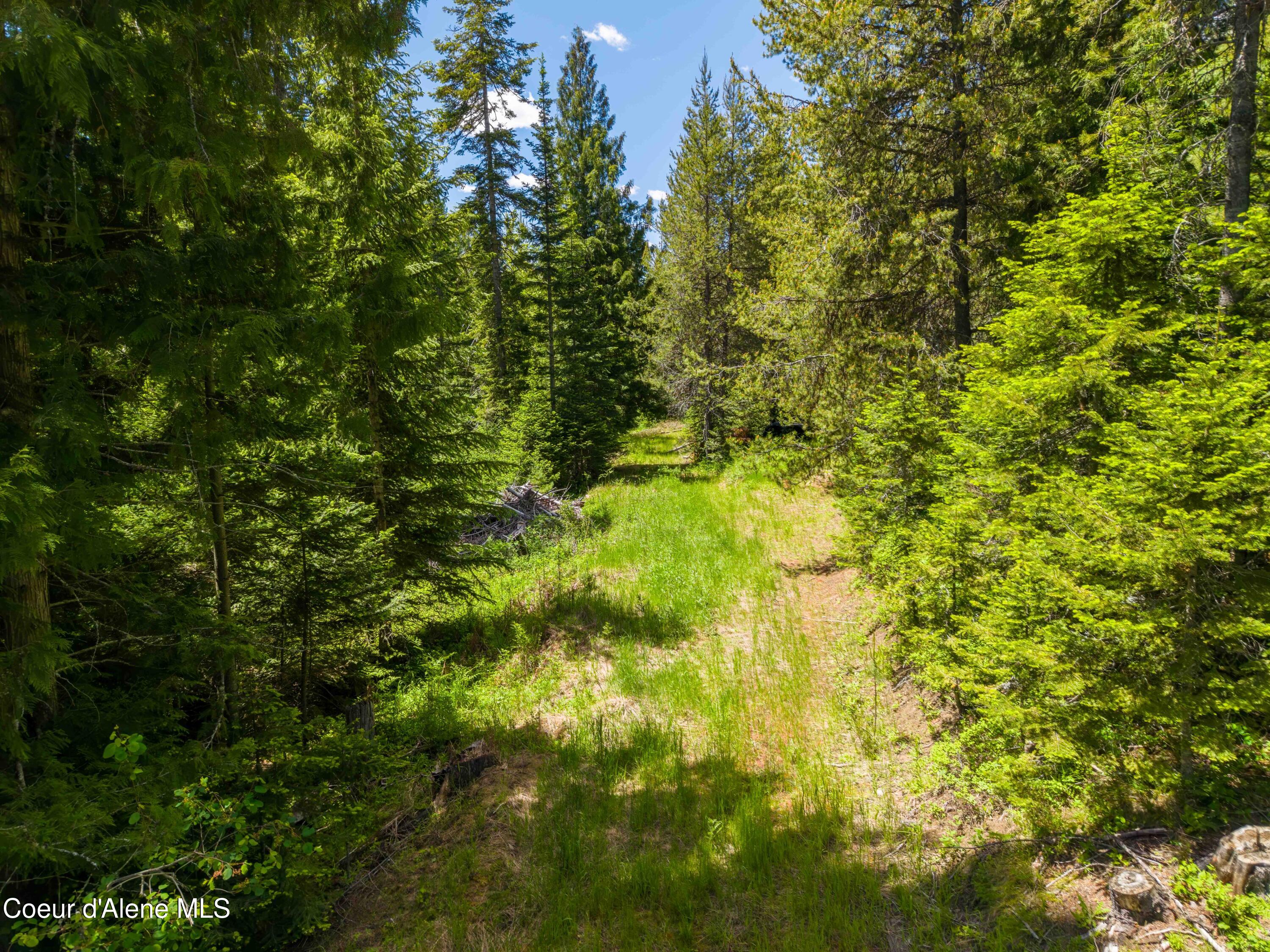 1314 Finn Creek Road Fernwood, ID 83830 - Photo 13 of 23 June 11 2026 (7 of 20)