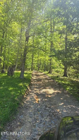 $81,840 | 4-5 Dooley Hollow Road, Ewing, VA 24248