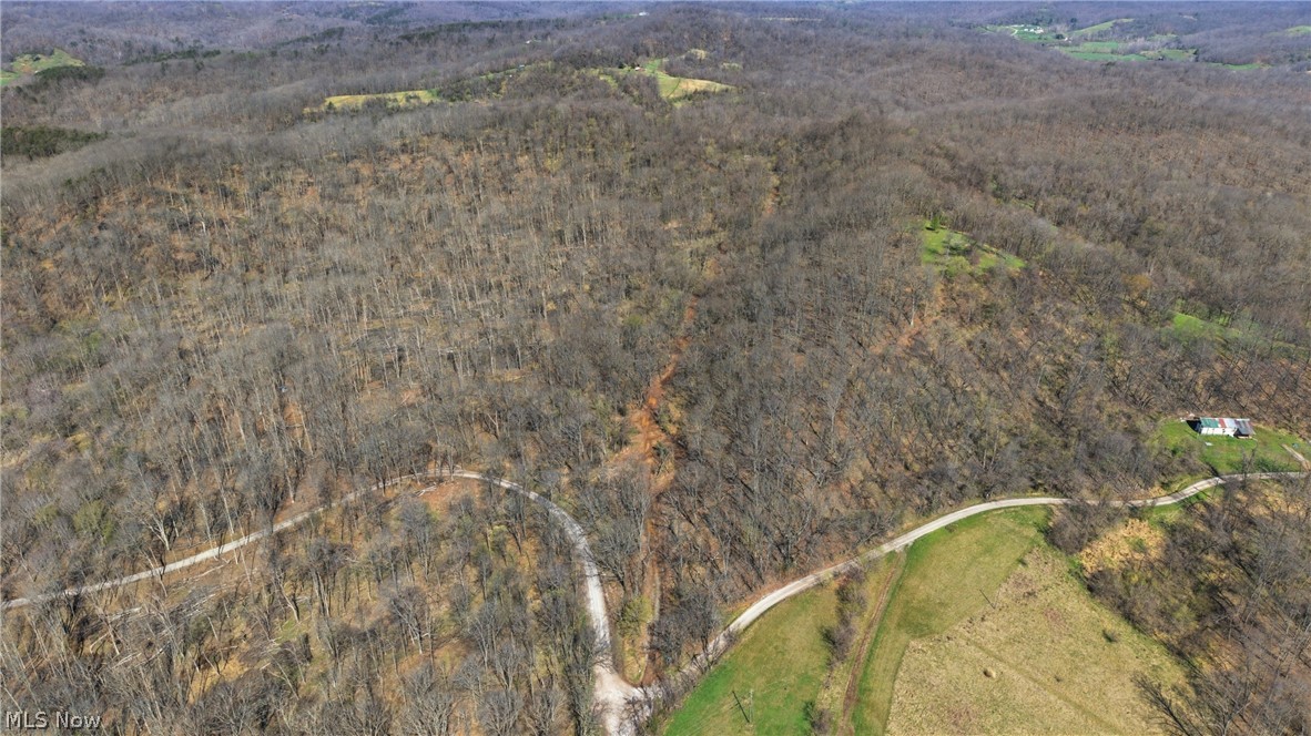 Logston Run Road Ravenswood, WV 26164 - Photo 4 of 10