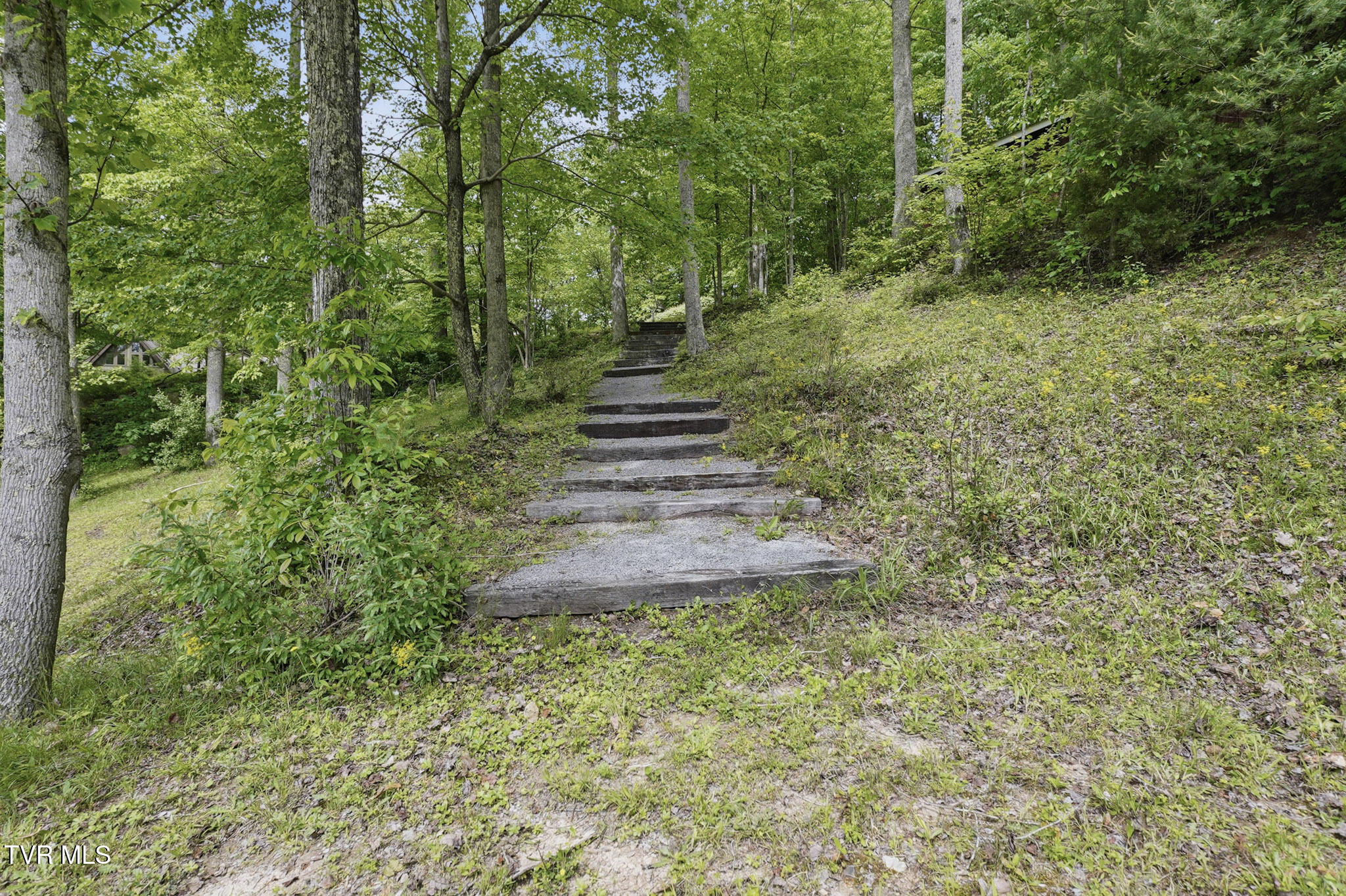 8466 Courtland Road Wise, VA 24293 - Photo 39 of 59 45_20-arw05993