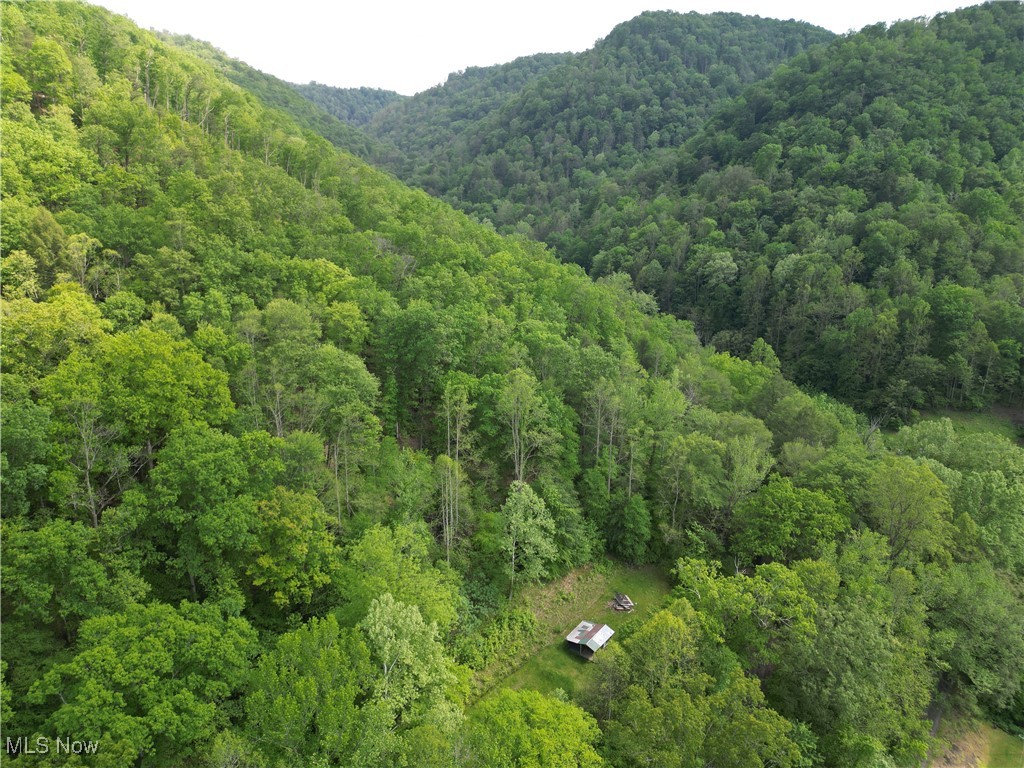 179 Little Beechy Ridge Road Procious, WV 25164 - Photo 15 of 17 Gallery Image 15