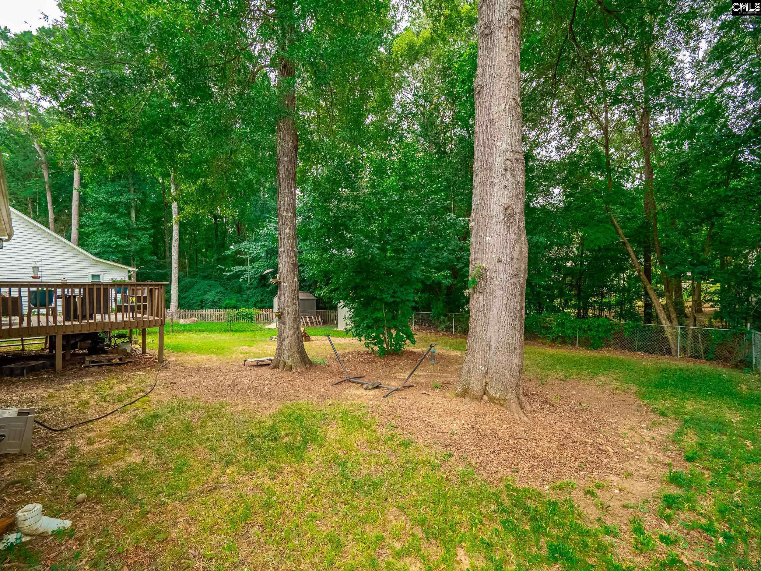 204 Scanley Road Irmo, SC 29063 - Photo 17 of 18