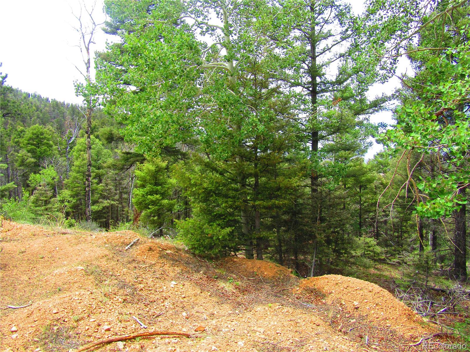 Lot 6028 Spruce Roads San Luis, CO 81152 - Photo 11 of 13
