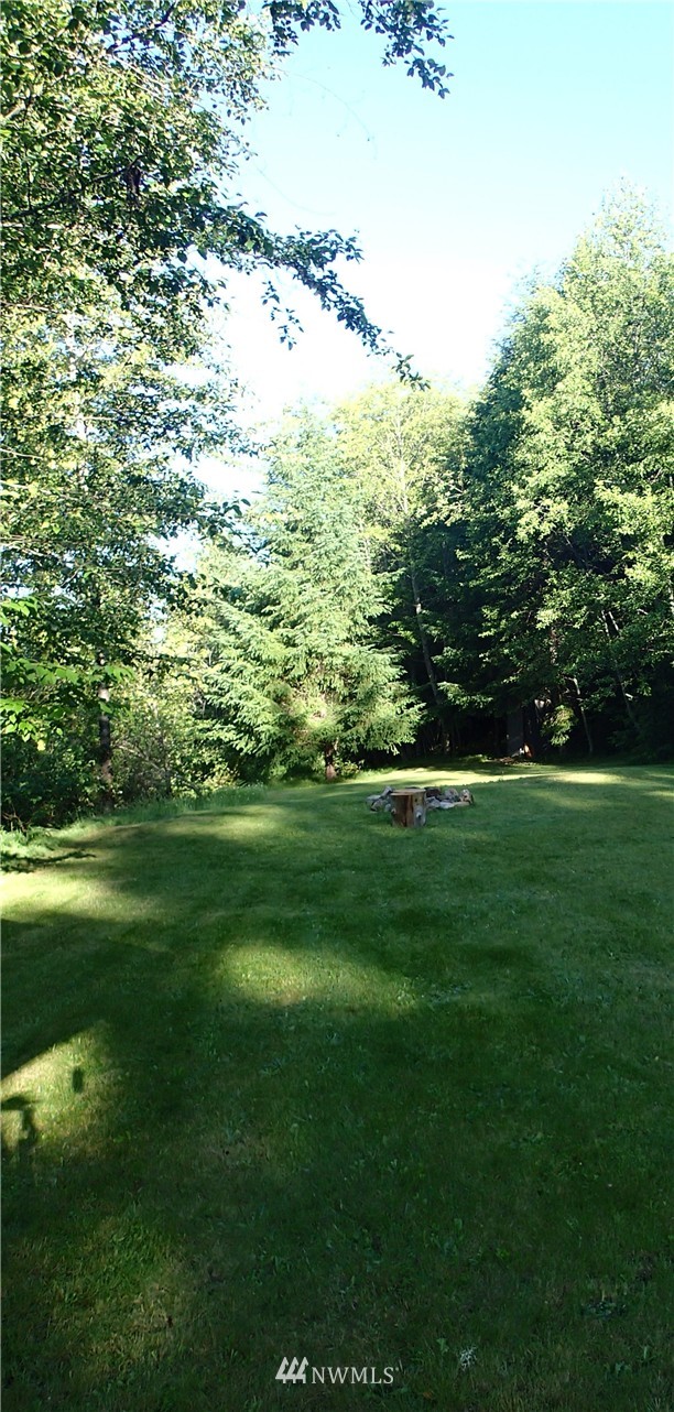 11-12 Butler Road Randle, WA 98377 - Photo 2 of 7 Gallery Image 2