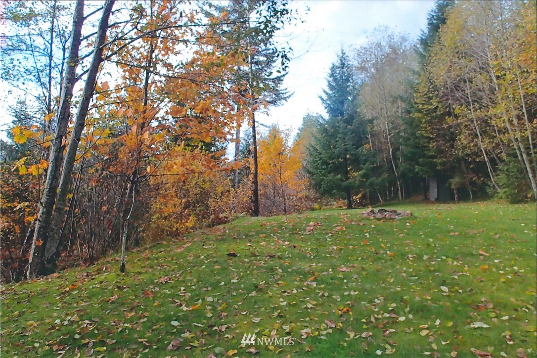 11-12 Butler Road Randle, WA 98377 - Photo 4 of 7 Gallery Image 4