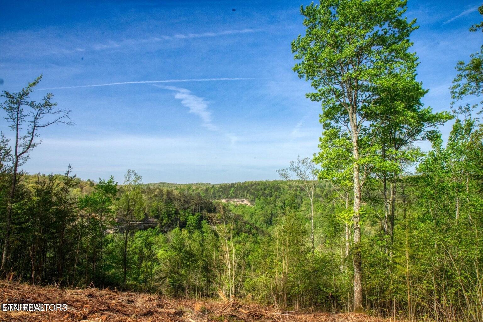 51 Grandview Way Jamestown, TN 38556 - Photo 1 of 9 Bluff Views