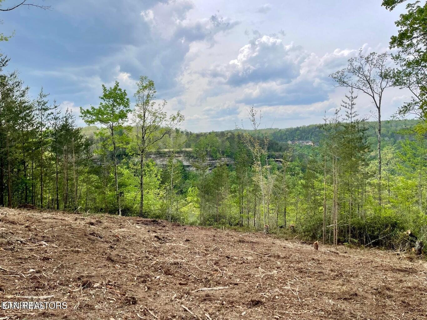 51 Grandview Way Jamestown, TN 38556 - Photo 4 of 9 Bluff Views