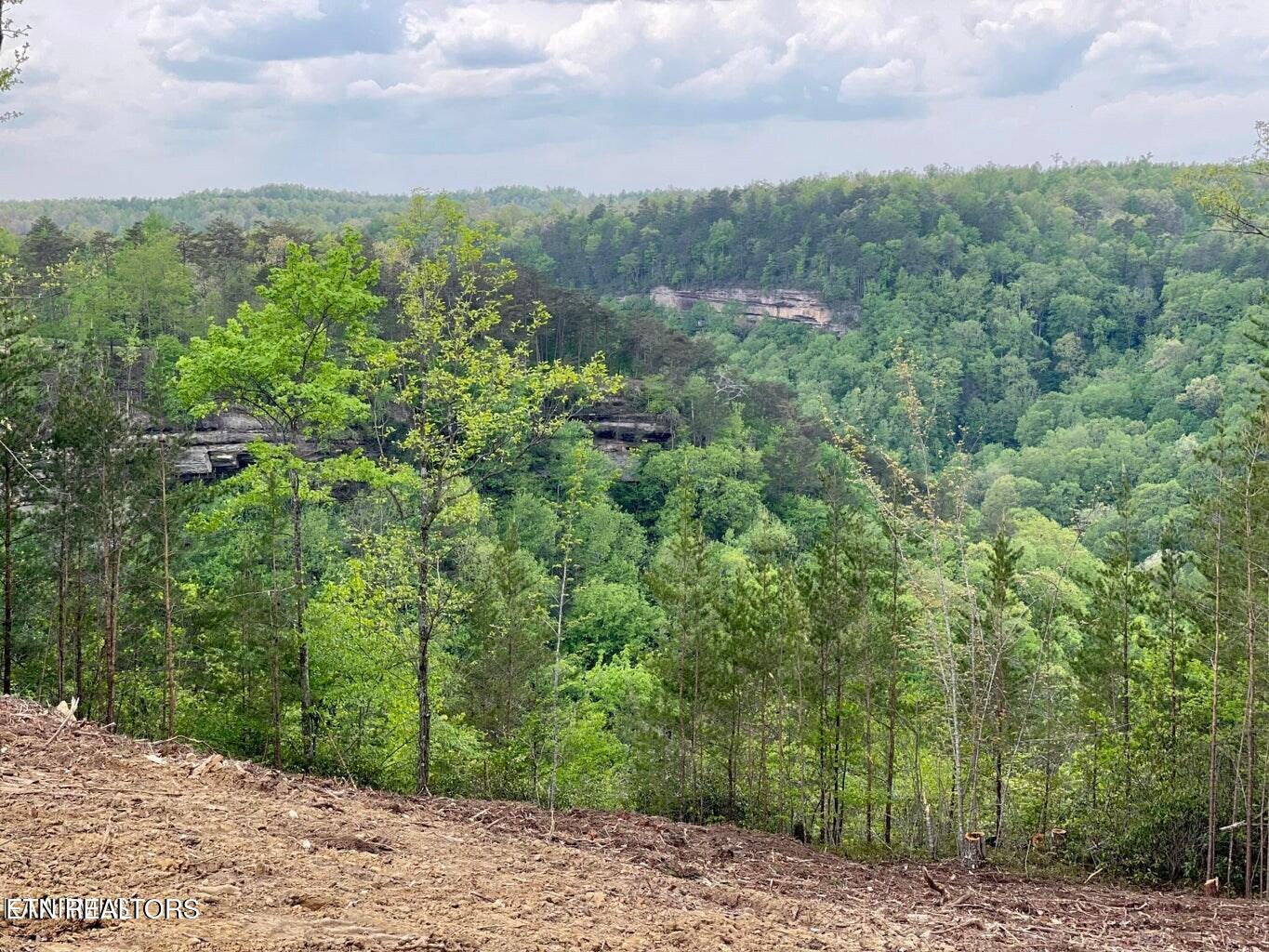 51 Grandview Way Jamestown, TN 38556 - Photo 5 of 9 Bluff Views