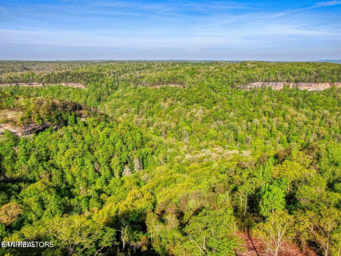 51 Grandview Way Jamestown, TN 38556 - Photo 6 of 9 Bluff Views