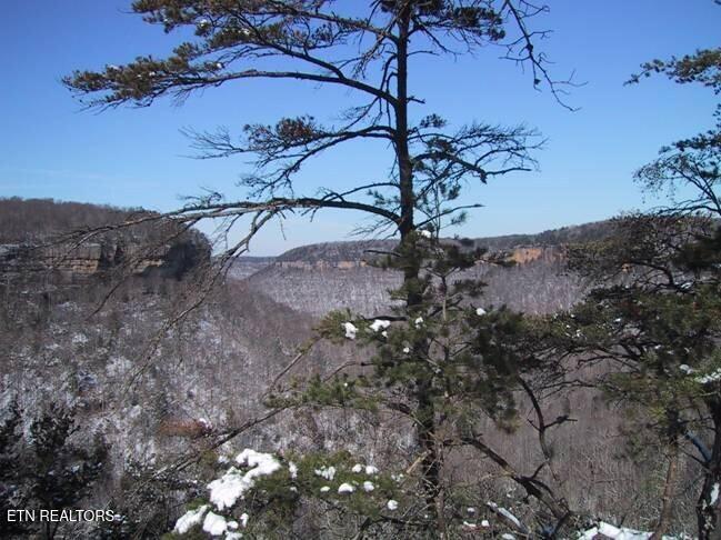 51 Grandview Way Jamestown, TN 38556 - Photo 9 of 9 Winter Bluff Views