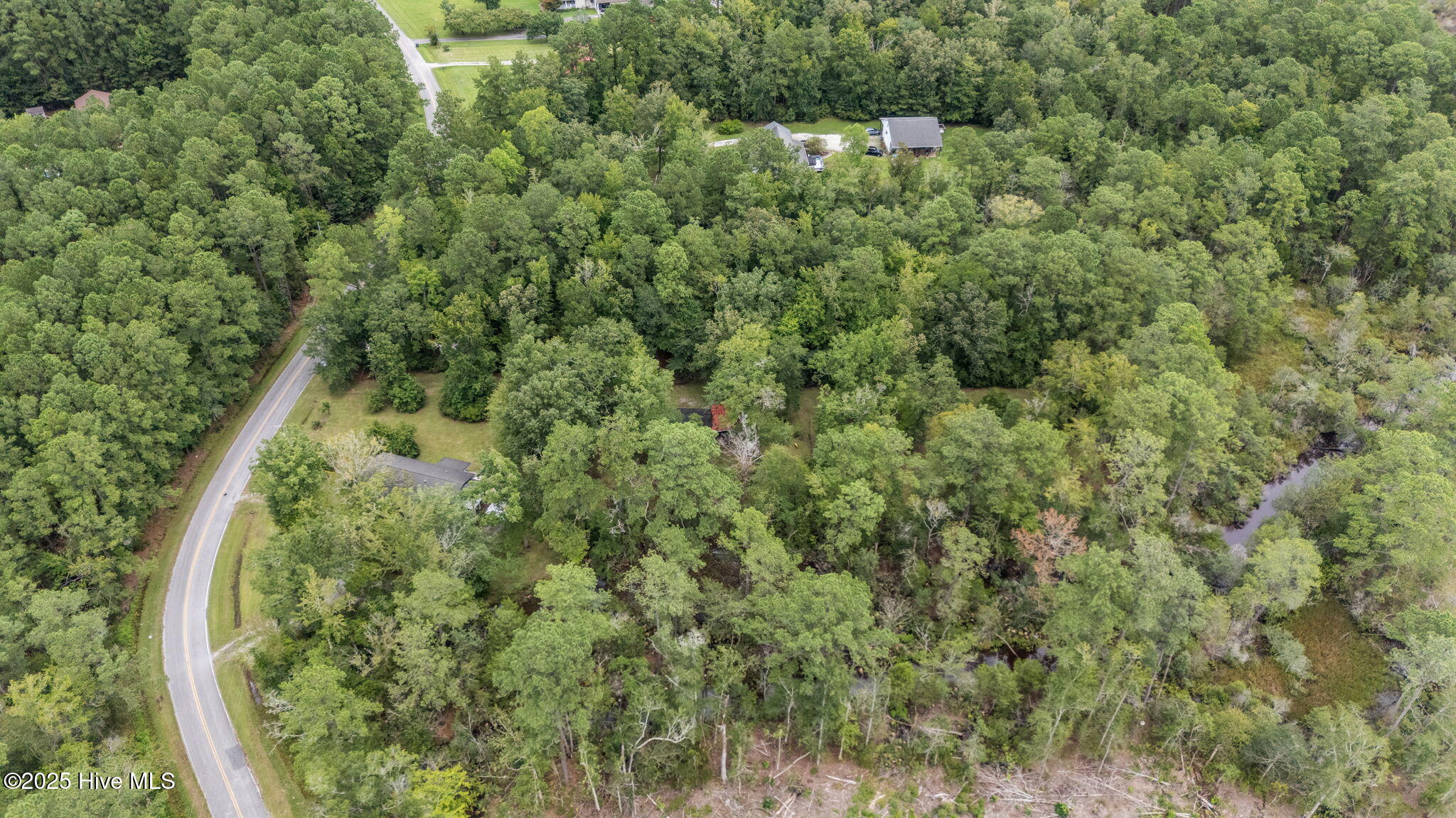 1745 Alligator Loop Road Merritt, NC 28556 - Photo 3 of 8 3-web-or-mls-DJI_20250813133102_0024_D