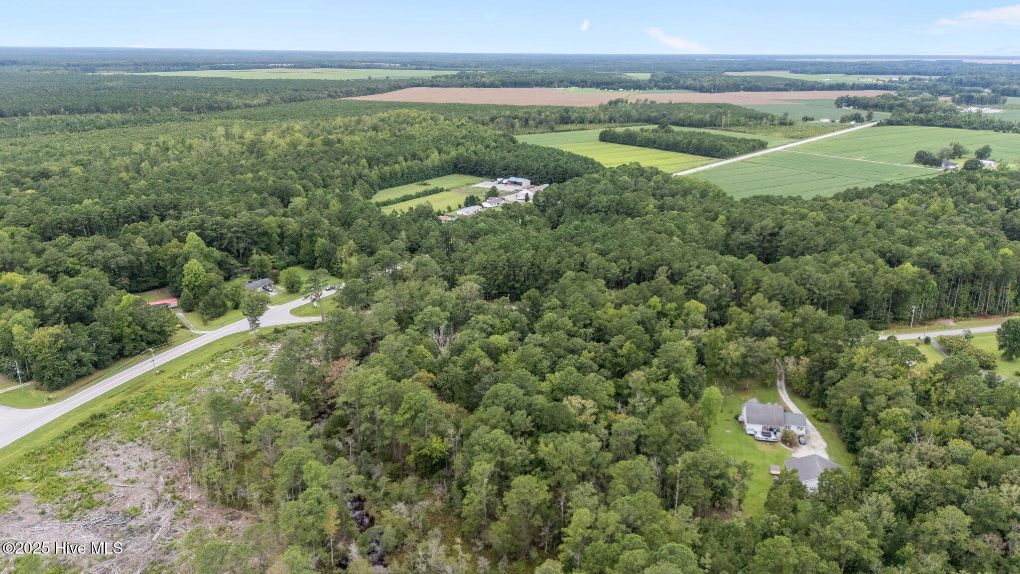 1745 Alligator Loop Road Merritt, NC 28556 - Photo 8 of 8 10-web-or-mls-DJI_20250813133407_0032_D