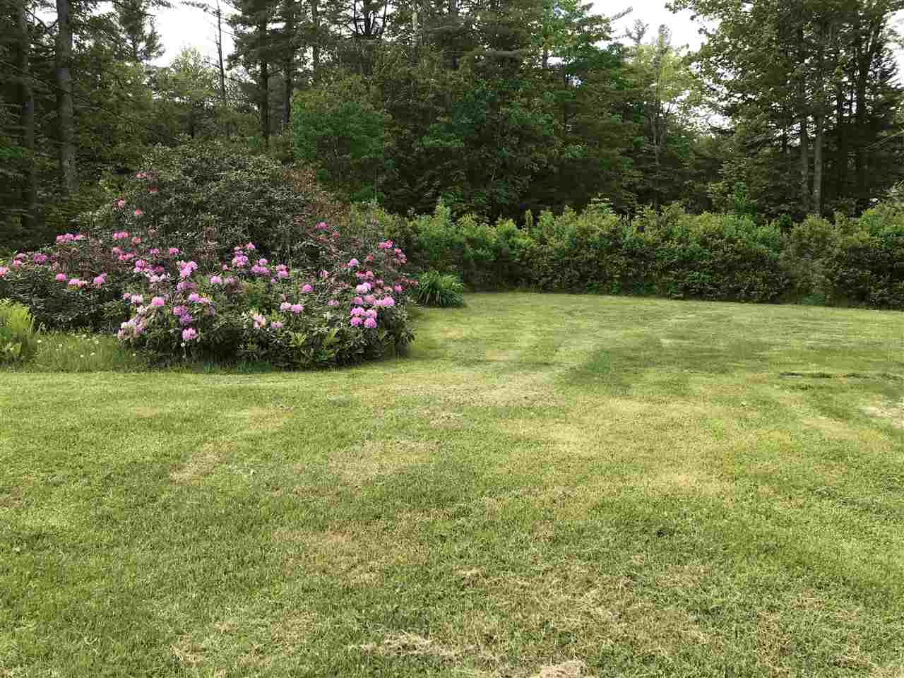 1219 Valley Road Washington, NH 03280 - Photo 18 of 18