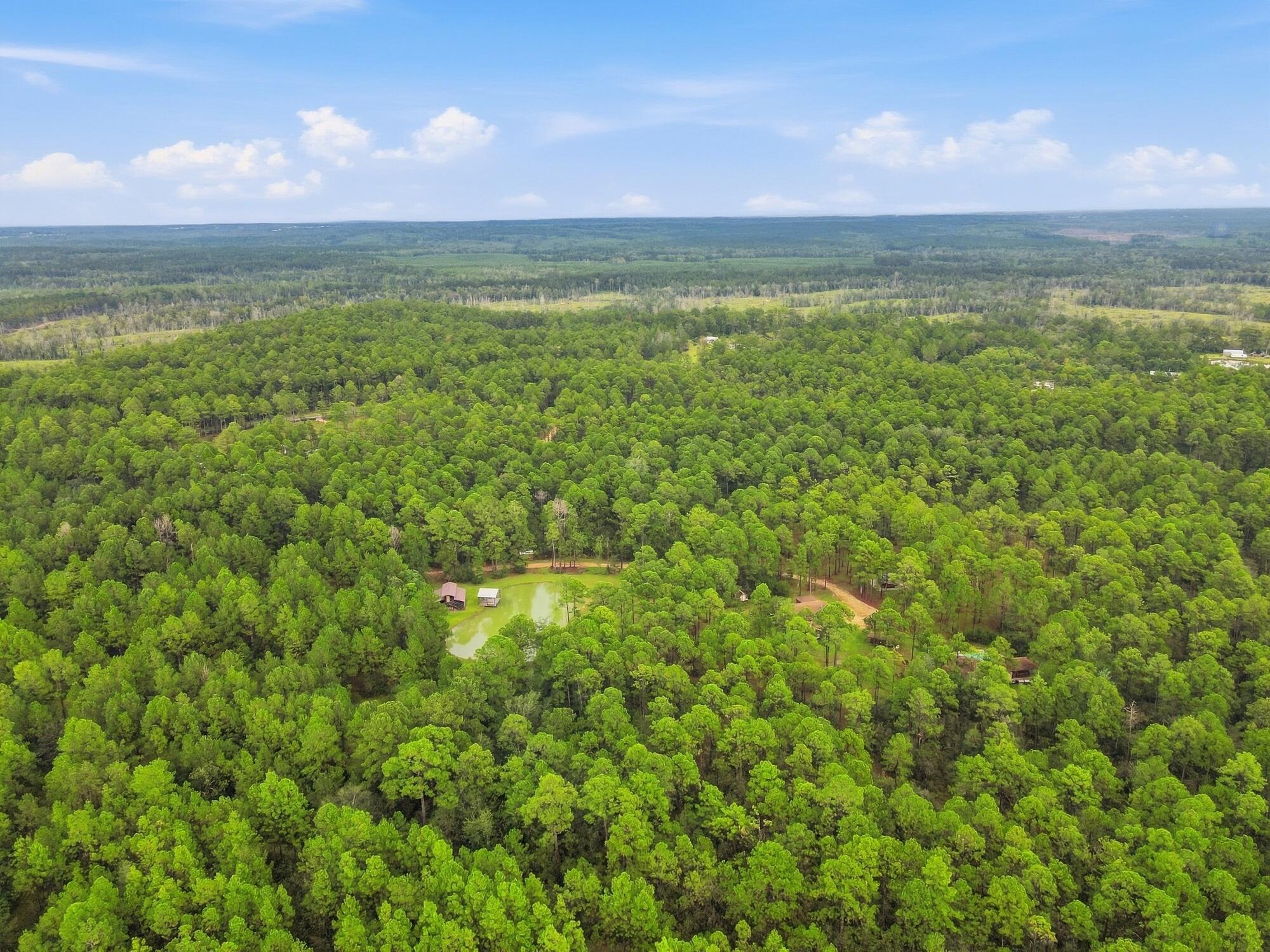 463 Jess Williams Road Poplarville, MS 39470 - Photo 54 of 59 Gallery Image 54