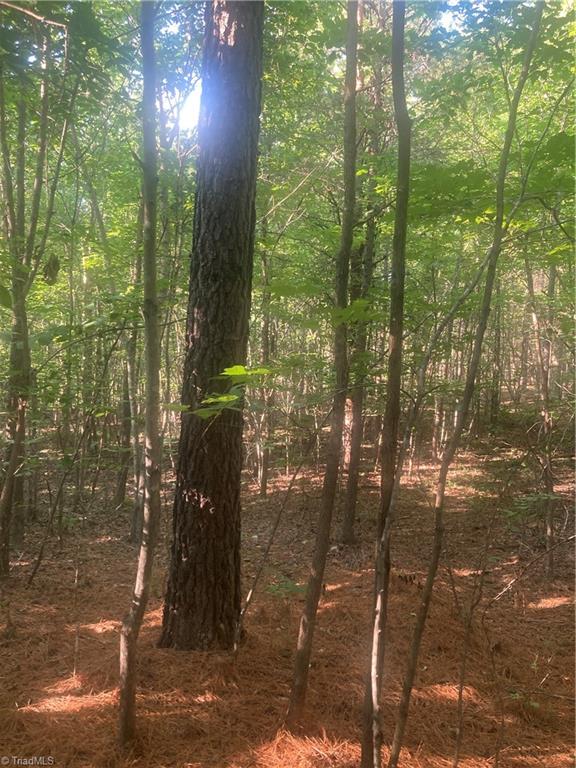 0 Graham Davis Road Denton, NC 27239 - Photo 11 of 22 Gallery Image 11