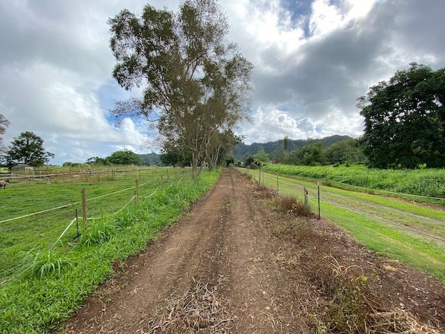 628 Puuopae Road Kapaa, HI 96746 - Photo 2 of 10 a view of a park