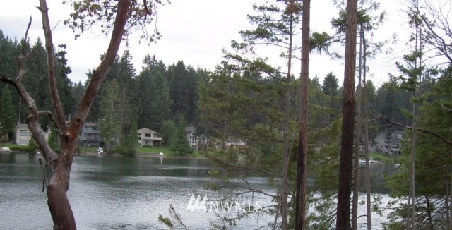 11700 Guthrie Road Anderson Island, WA 98303 - Photo 1 of 13